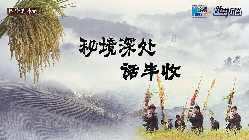 探探猫之飞刀大师